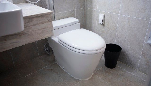 Handyman reveals simple method to unclog toilet without plunger: ‘So helpful’